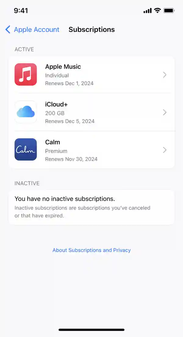 TeraBox subscription settings on iPhone