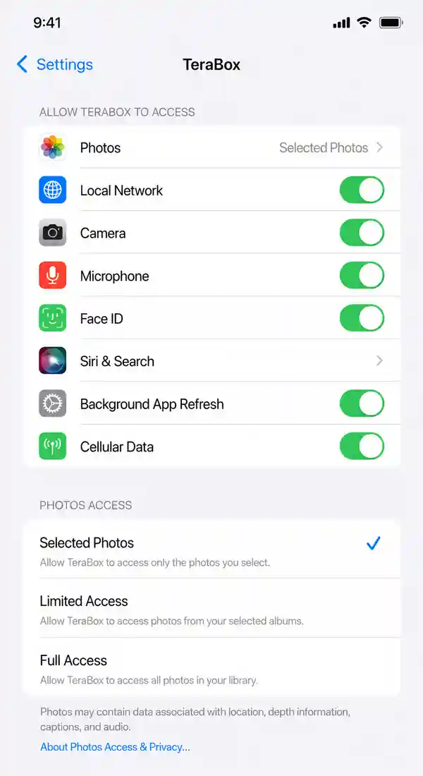 iPhone Photos permission settings for TeraBox